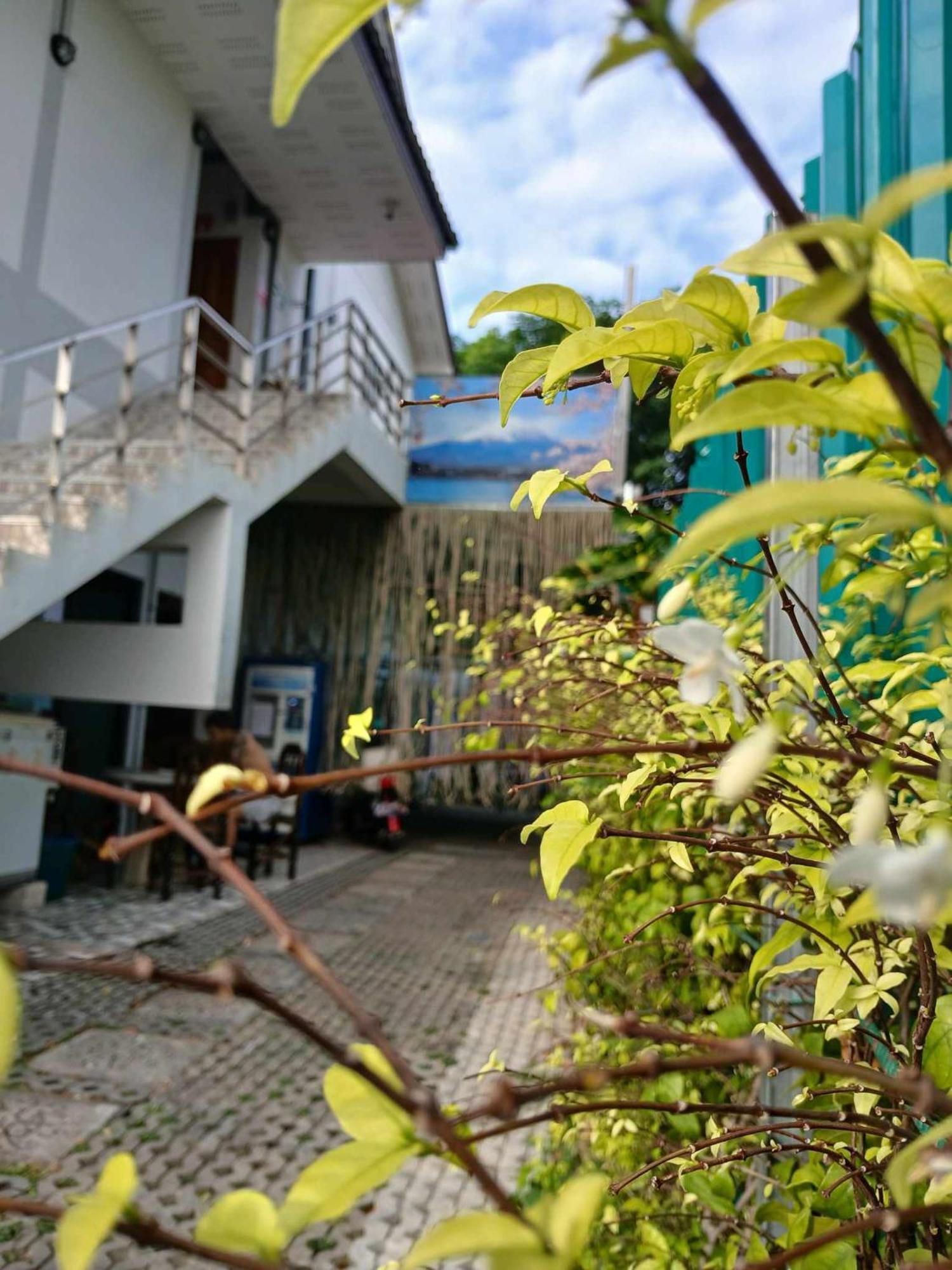 Sakura House Hostel Chiang Mai Ngoại thất bức ảnh